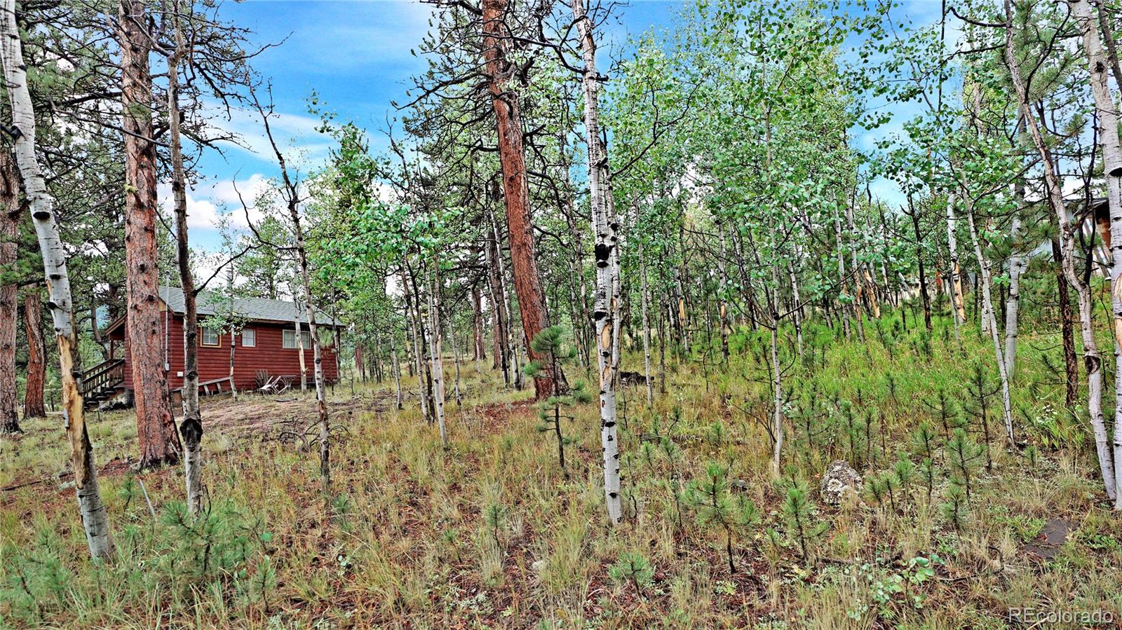 109 Wolf Road Bailey, CO 80421 - Photo 12 of 18 a view of a house with a yard