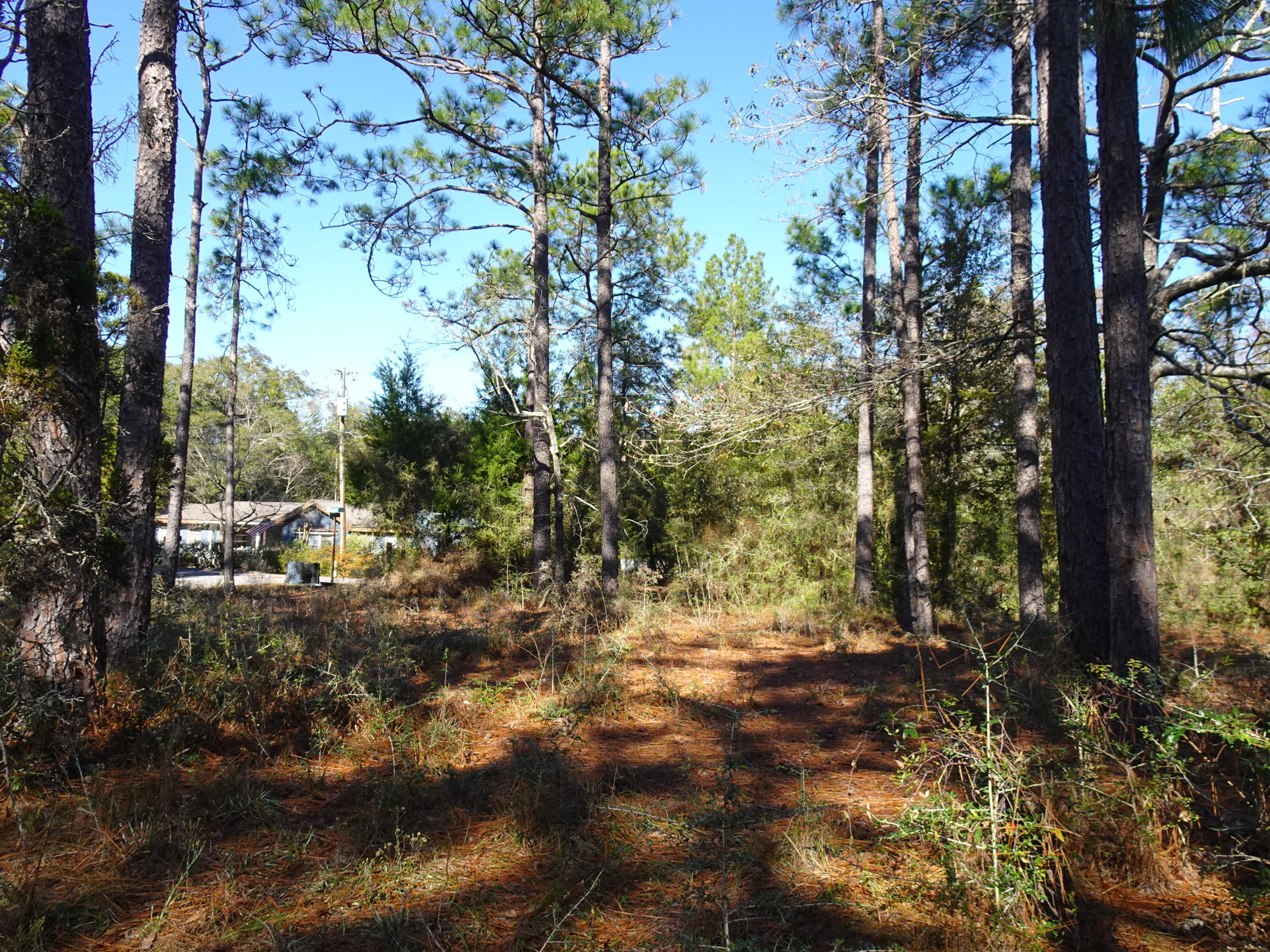 0 Maple Street DeFuniak Springs, FL 32435 - Photo 3 of 4 DSC00397