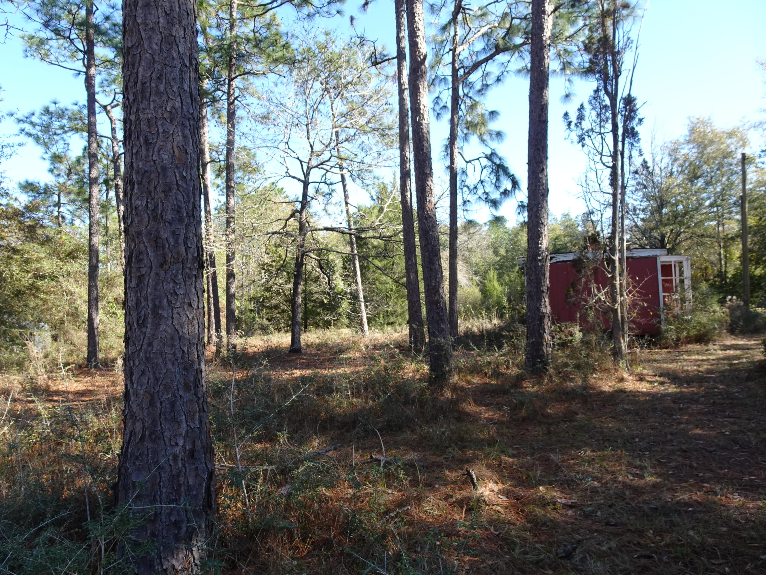 0 Maple Street DeFuniak Springs, FL 32435 - Photo 4 of 4 DSC00399
