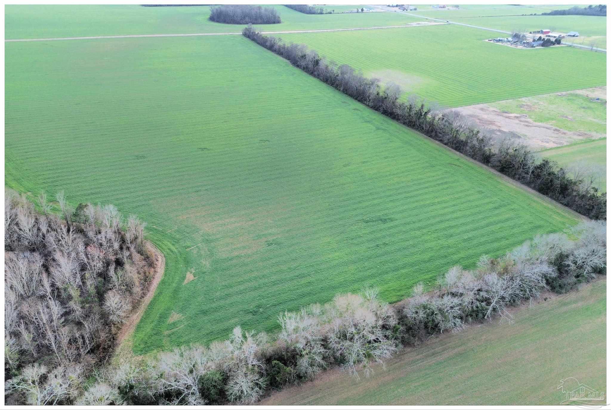 0 Rocky Road Jay, FL 32565 - Photo 2 of 6