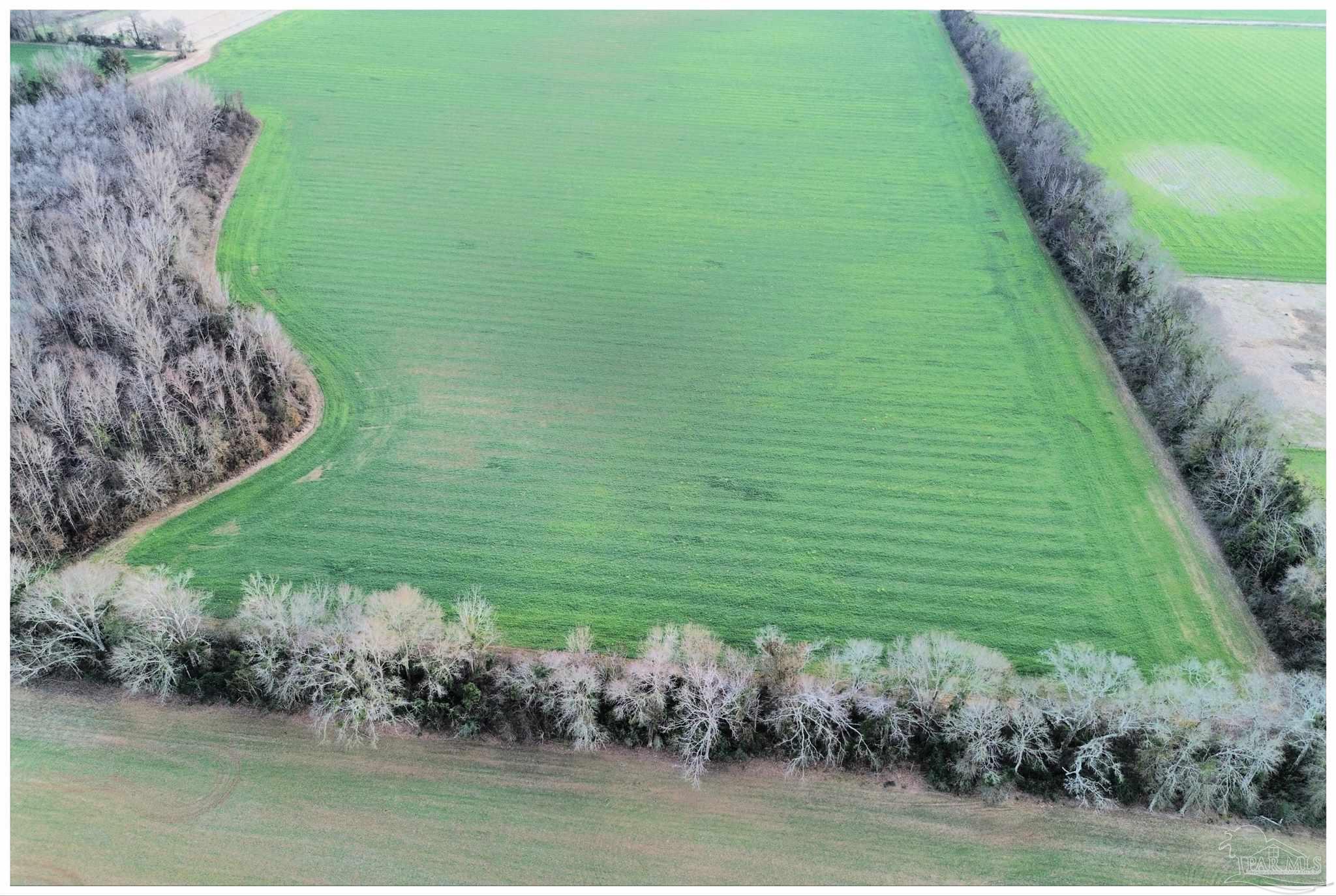 0 Rocky Road Jay, FL 32565 - Photo 3 of 6