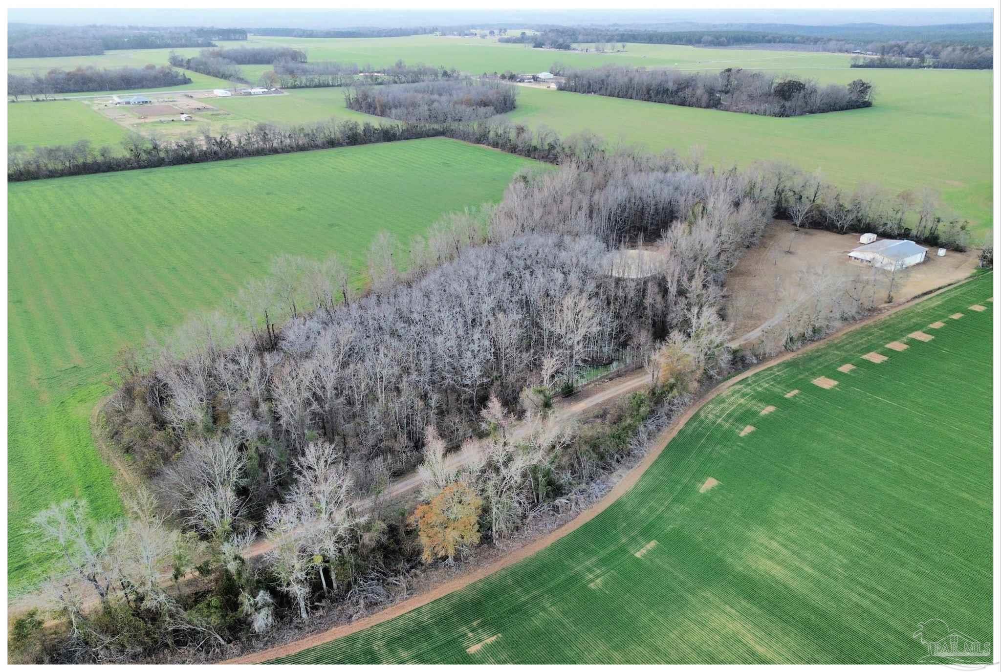 0 Rocky Road Jay, FL 32565 - Photo 4 of 6