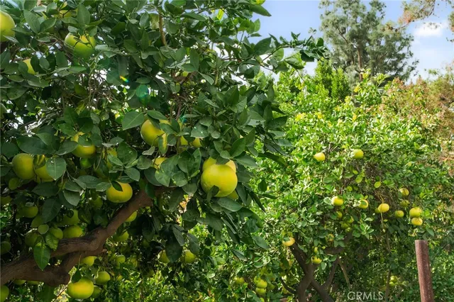 $1,875,000 | 416 Alamosa Drive, Claremont, CA 91711