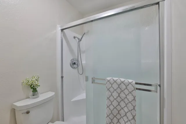 a bathroom with a shower and a toilet