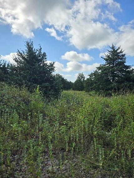 3694 County Road 1103 Celeste, TX 75423 - Photo 4 of 7 View of nature featuring a wooded view