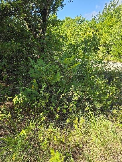 3694 County Road 1103 Celeste, TX 75423 - Photo 5 of 7 View of landscape with a wooded view
