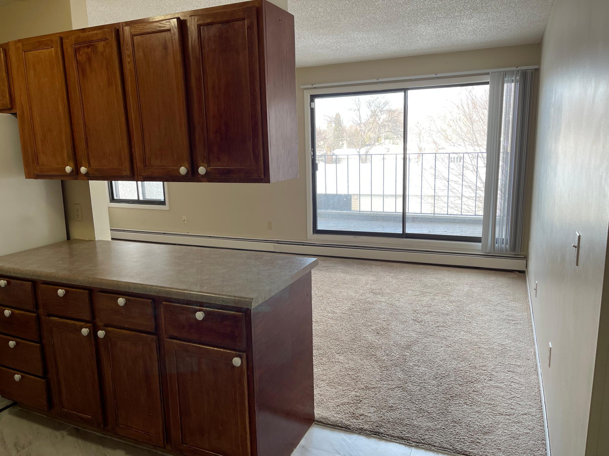 4110 Rahn Road, Unit A205 Eagan, MN 55122 - Photo 1 of 1