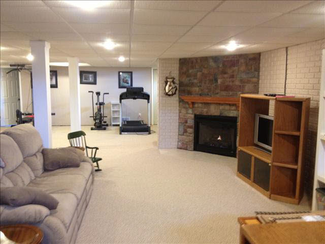 7609 Ida East Road Ida, MI 48140 - Photo 12 of 17 Finished Basement