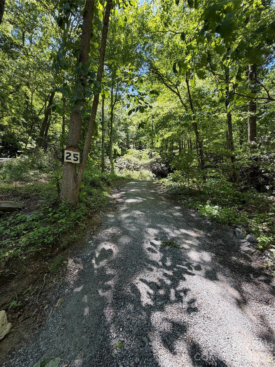 25 Buck Ridge Road Fairview, NC 28730 - Photo 18 of 27 Gallery Image 18