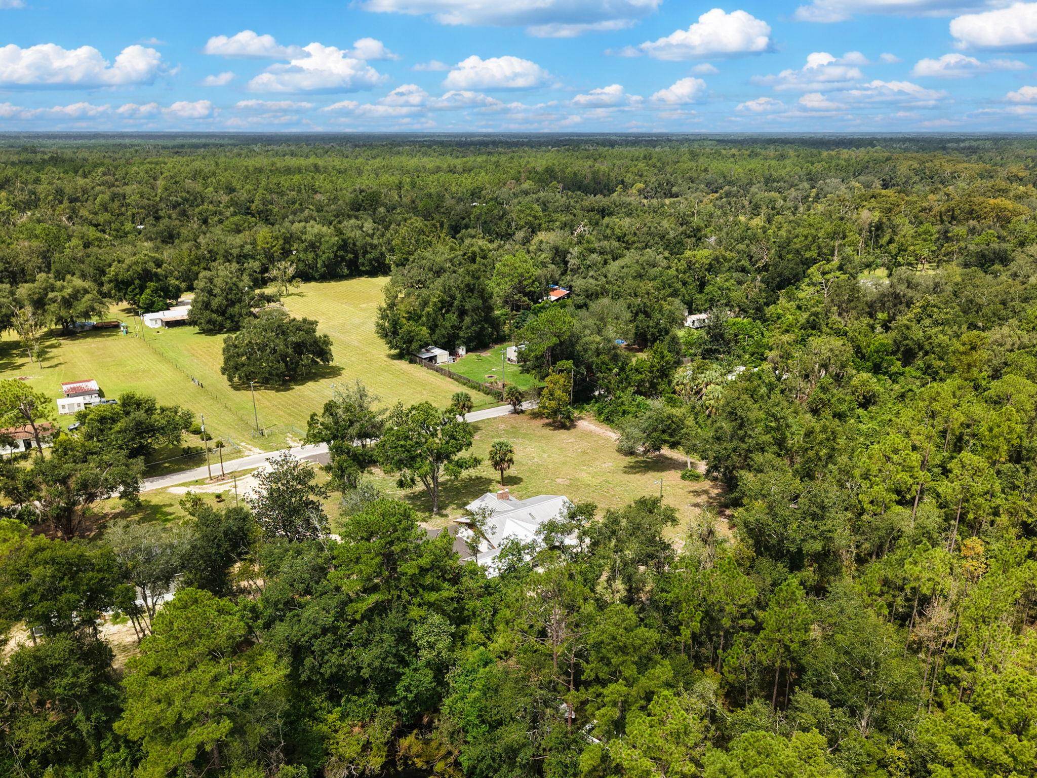 1850 Dice Road Perry, FL 32348 - Photo 46 of 47 Gallery Image 46