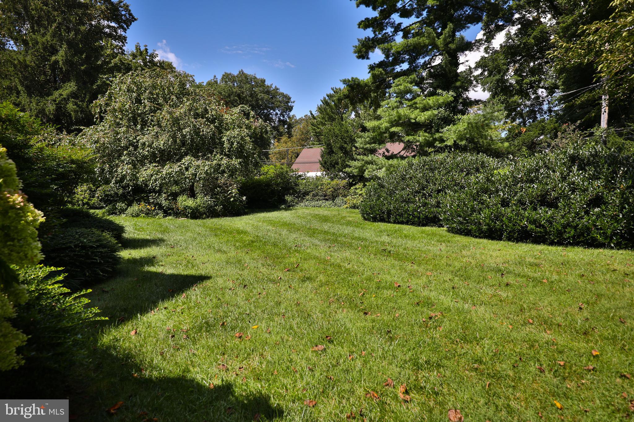 1157 Delene Road Jenkintown, PA 19046 - Photo 49 of 54 Back Yard
