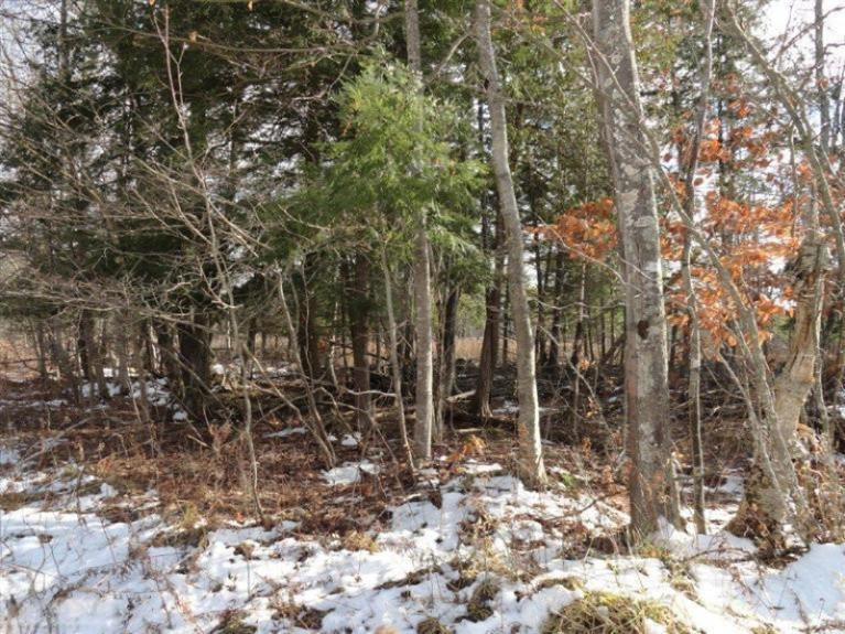 11938 Johnson Road Brethren, MI 49619 - Photo 1 of 1 Primary Photo