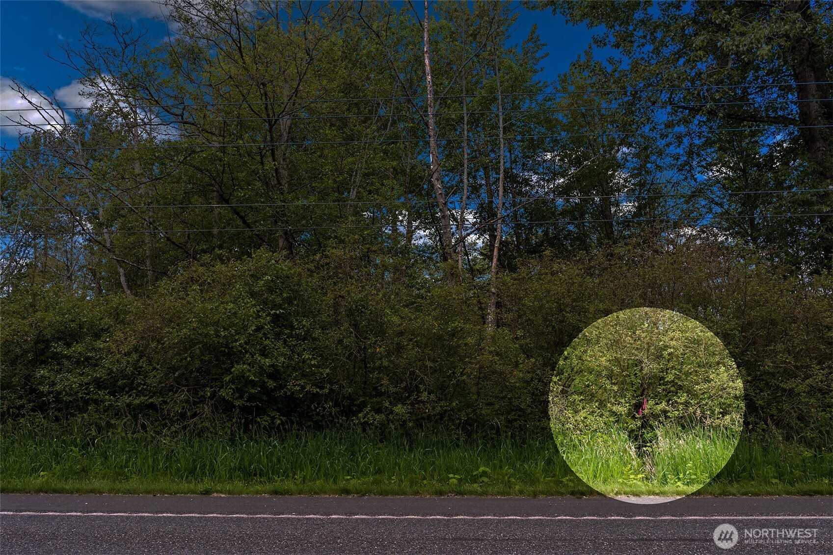 0 Haxton Way Bellingham, WA 98226 - Photo 12 of 15 a view of outdoor space and garden
