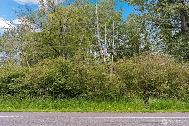 a view of a yard with plants