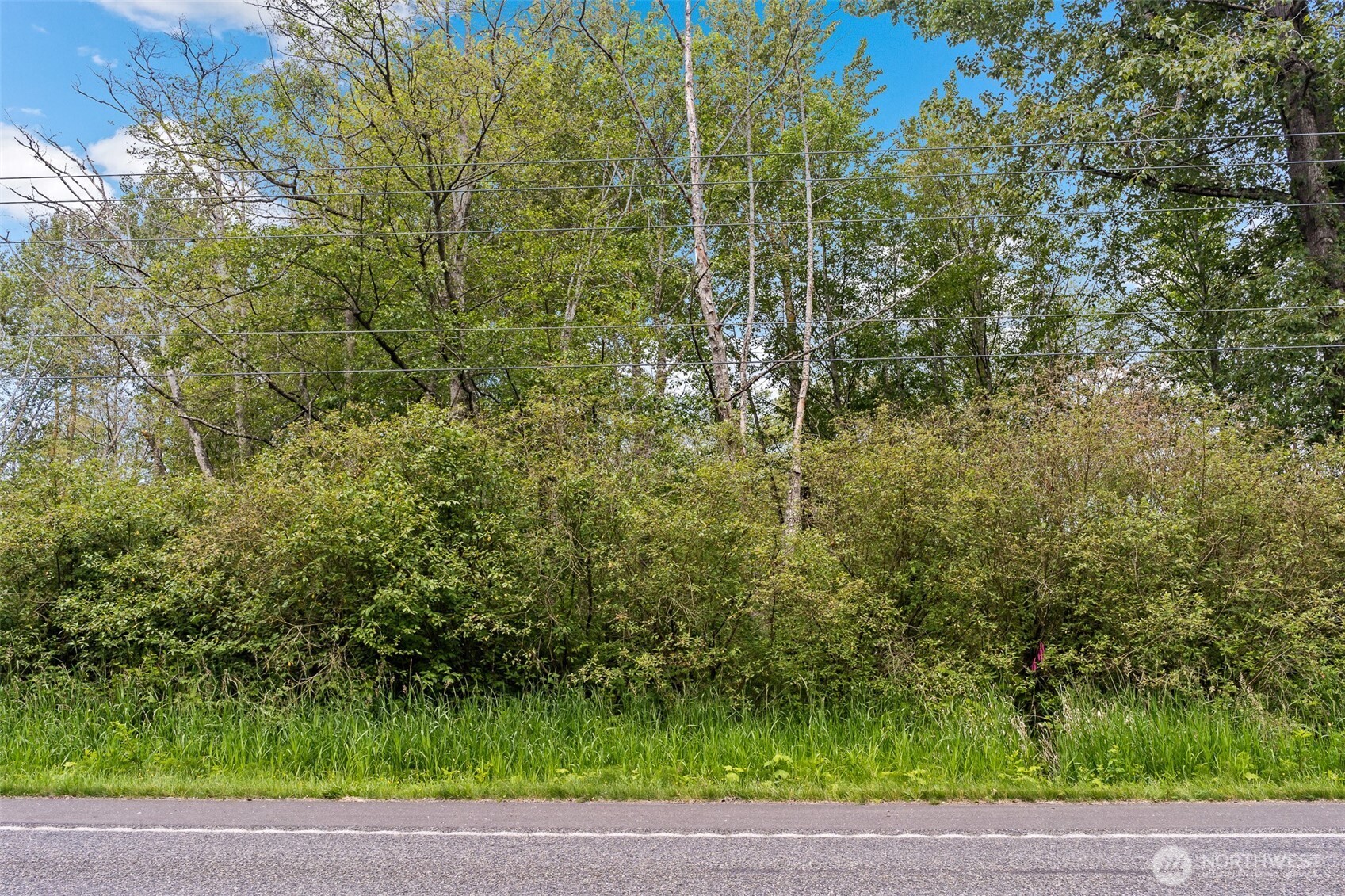 0 Haxton Way Bellingham, WA 98226 - Photo 13 of 15