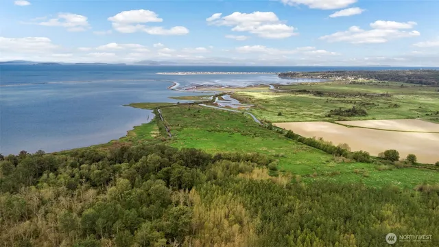 a view of an ocean and beach
