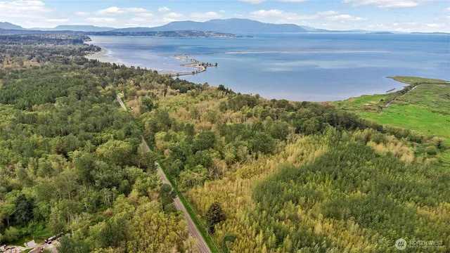 a view of a city with lush green forest