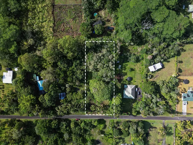 an outdoor view from a garden