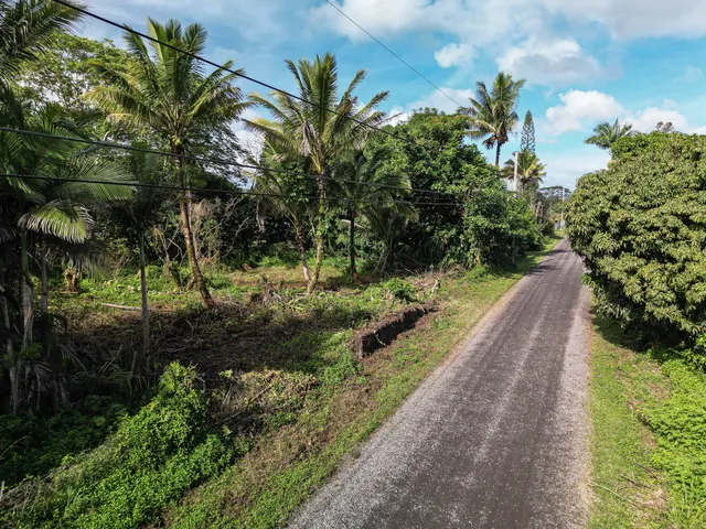 a view of a pathway with a yard