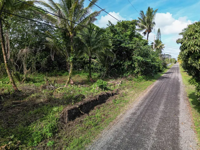 a view of a street with a tree