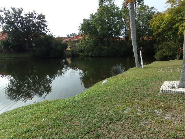 7630 Balharbour Drive New Port Richey, FL 34653 - Photo 16 of 17 a view of a lake with a yard and large trees