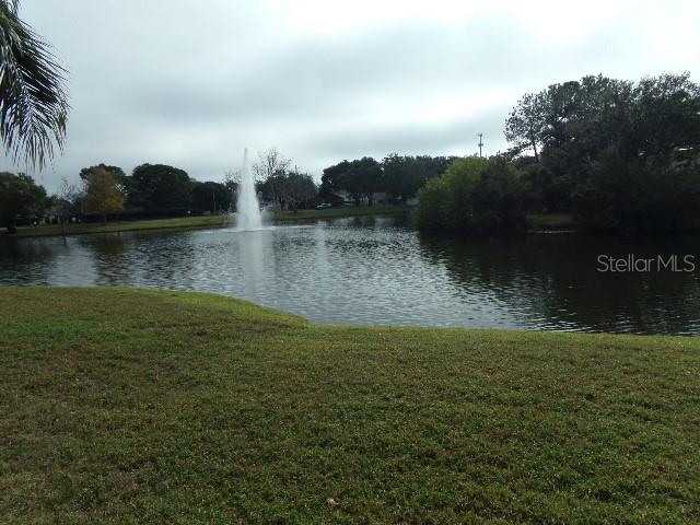 7630 Balharbour Drive New Port Richey, FL 34653 - Photo 17 of 17 a view of a lake
