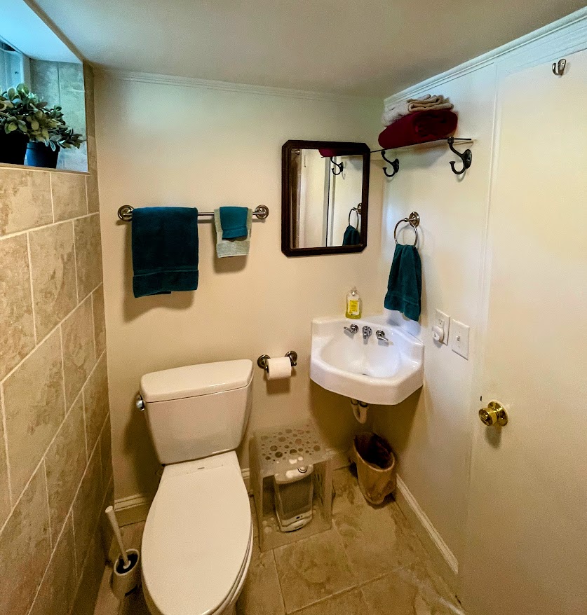 103 Poole Lane Clemson, SC 29631 - Photo 35 of 48 This basement bath has tiled flooring and shower for easy cleaning.