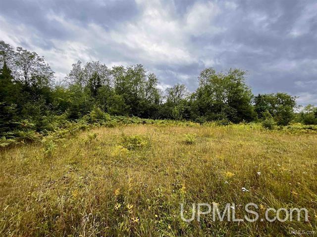 9692 North Laird Road Pelkie, MI 49958 - Photo 40 of 44