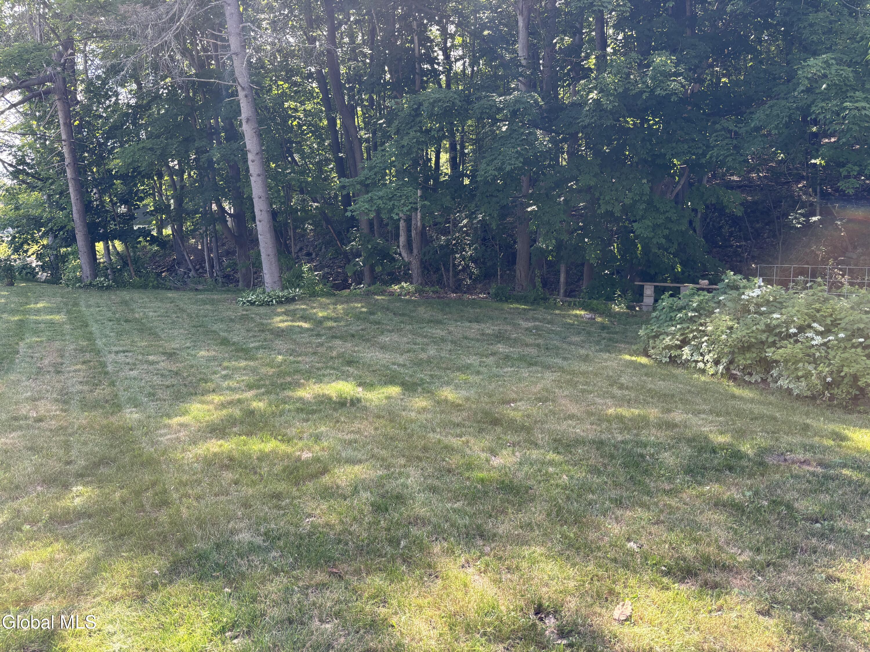 31 Taborton Road Sand Lake, NY 12018 - Photo 34 of 39 IMG_4778