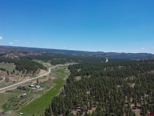 a view of a park with a tree