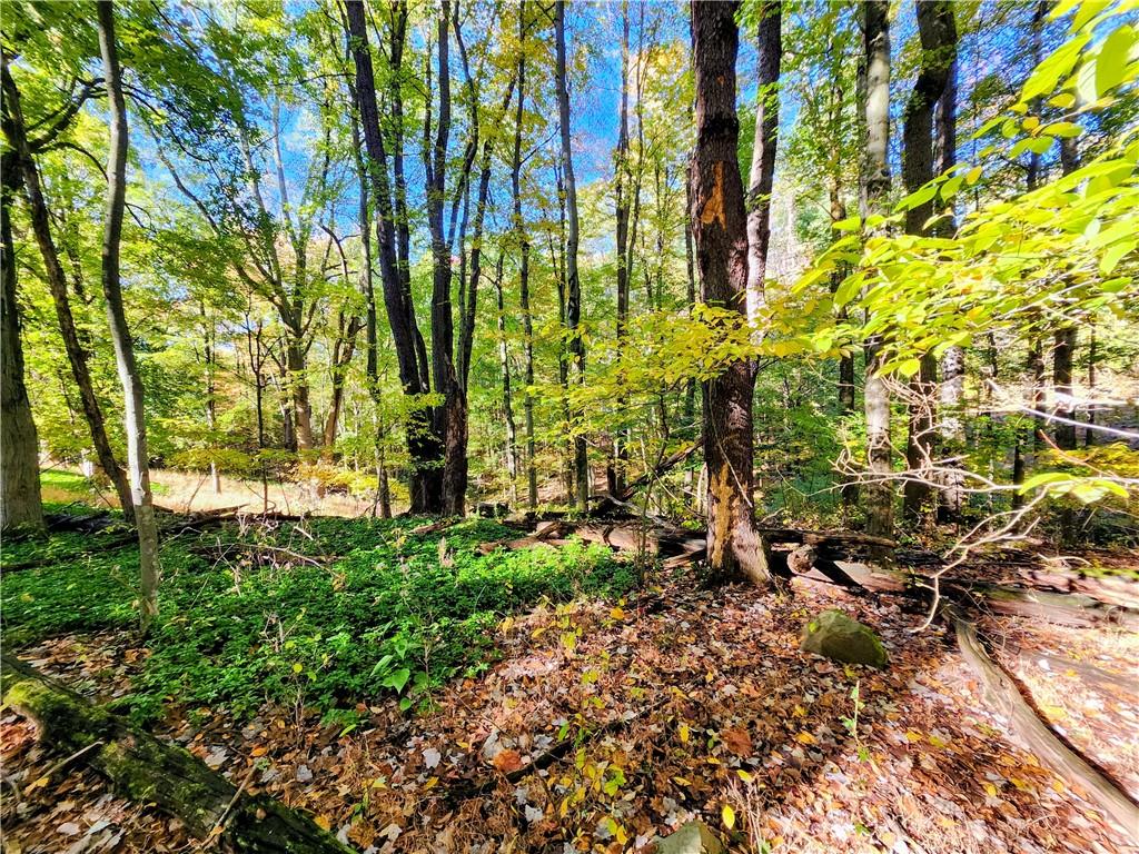 499 White School Road Greensburg, PA 15601 - Photo 31 of 38 a backyard of a building with barbeque oven and outdoor seating