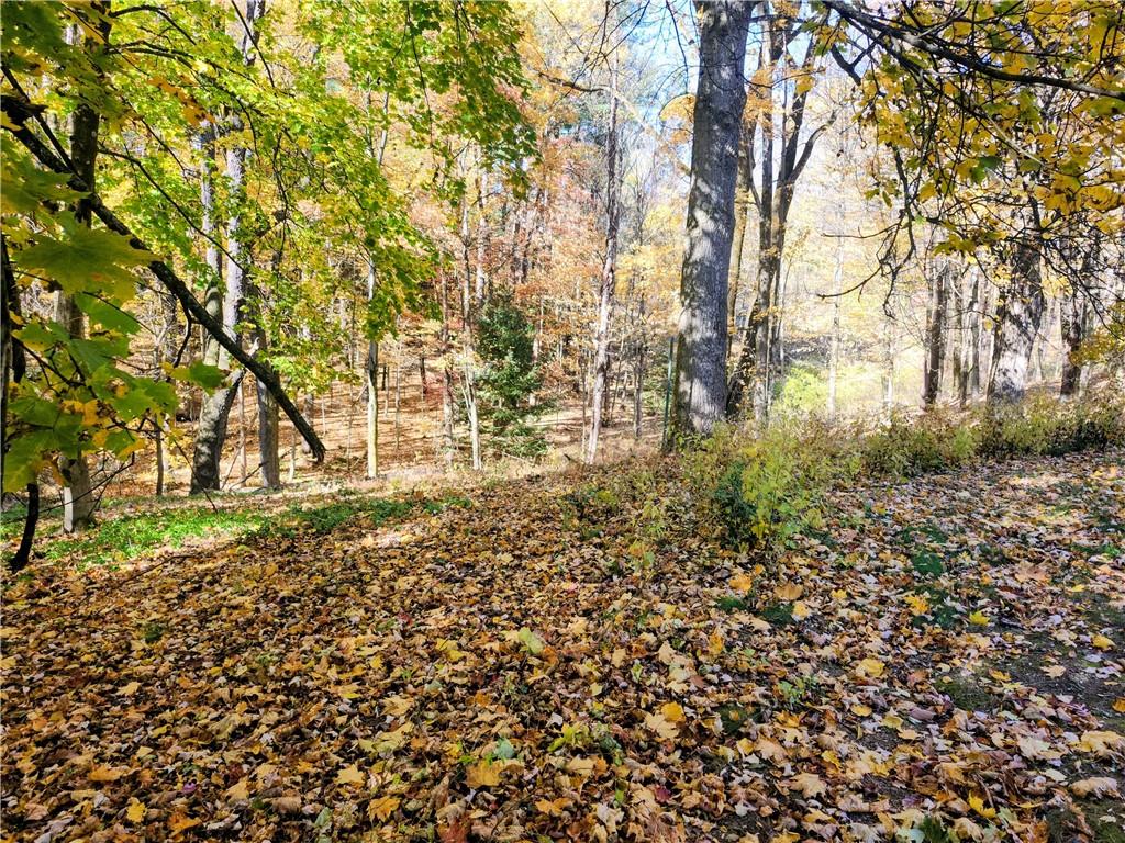 499 White School Road Greensburg, PA 15601 - Photo 37 of 38 a view of outdoor space and a yard