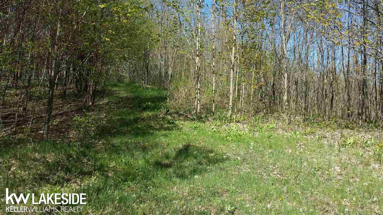 Nhn North 27th Road Mesick, MI 49668 - Photo 3 of 11