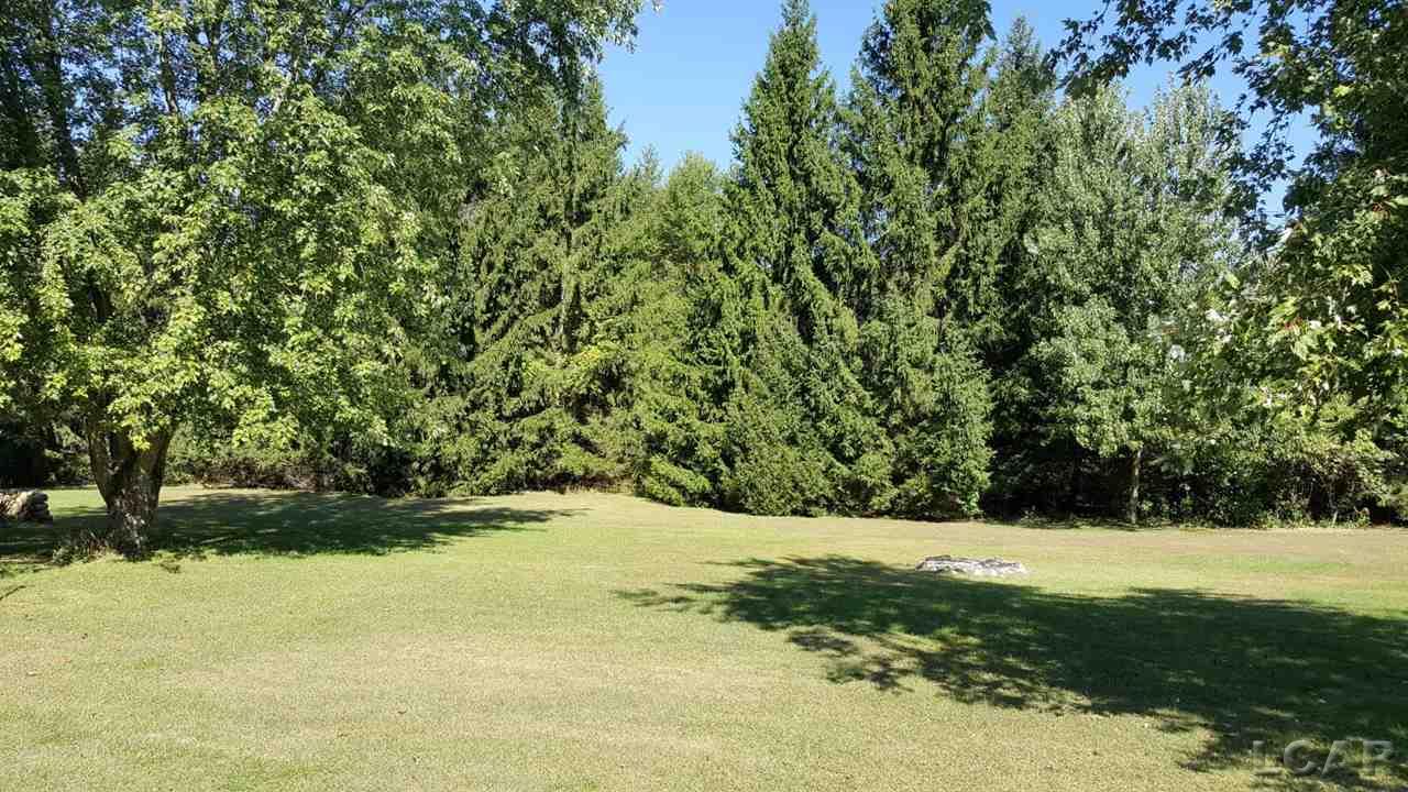 21250 Willow Road Manchester, MI 48158 - Photo 19 of 23 31274756-19.JPG
