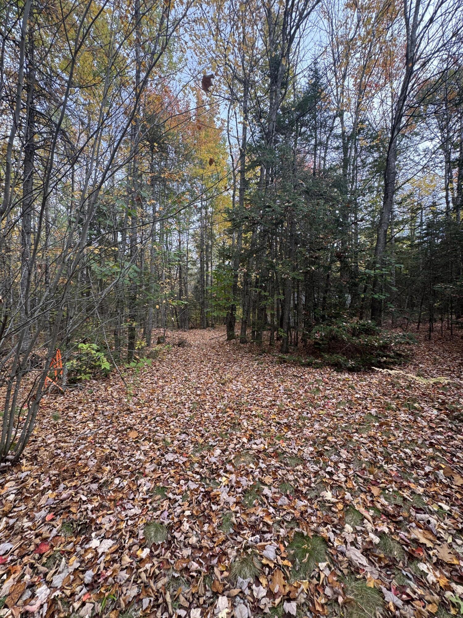 839 Oliver Hill Road Garland, ME 04939 - Photo 1 of 15 IMG_8628