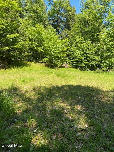 55 Fodder Road Stony Creek, NY 12878 - Photo 4 of 13 Home site