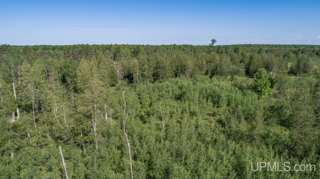 Tbd 80-acres 30th Road Rapid River, MI 49878 - Photo 12 of 17