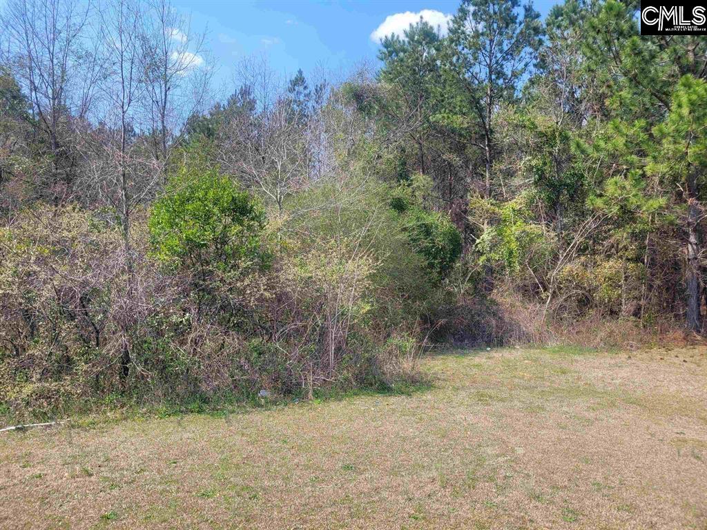 239 House Road Eastover, SC 29044 - Photo 9 of 10