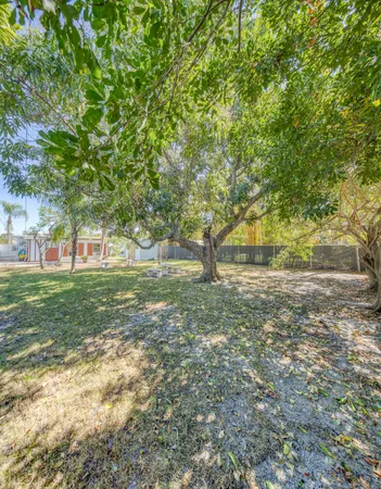 a view of yard with tree