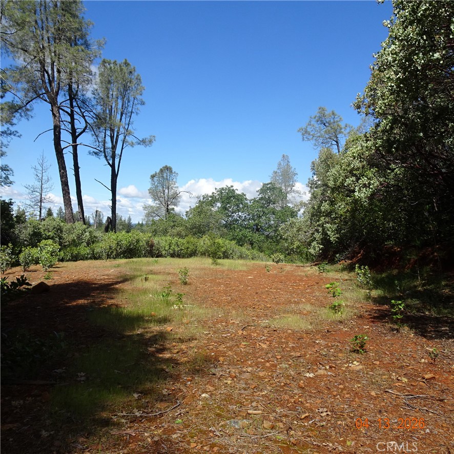 0 Powell Ridge Road Oroville, CA 95966 - Photo 2 of 9