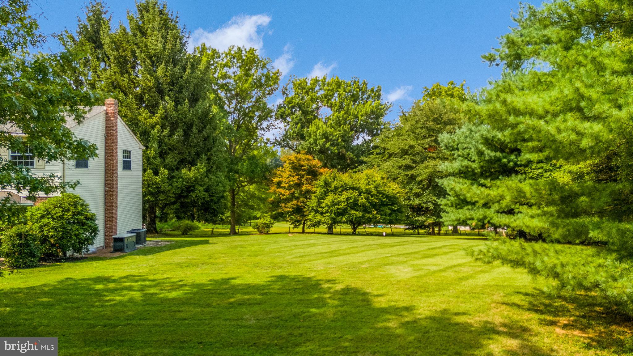 603 Street Road West Chester, PA 19382 - Photo 4 of 41 Spacious and Level Side Yard