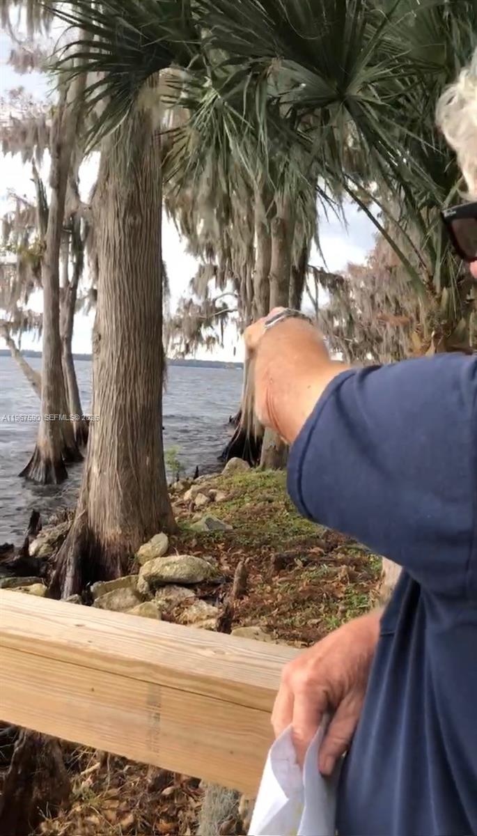 216 Marie Avenue Georgetown, FL 32139 - Photo 6 of 7 a view of a backyard with a tree