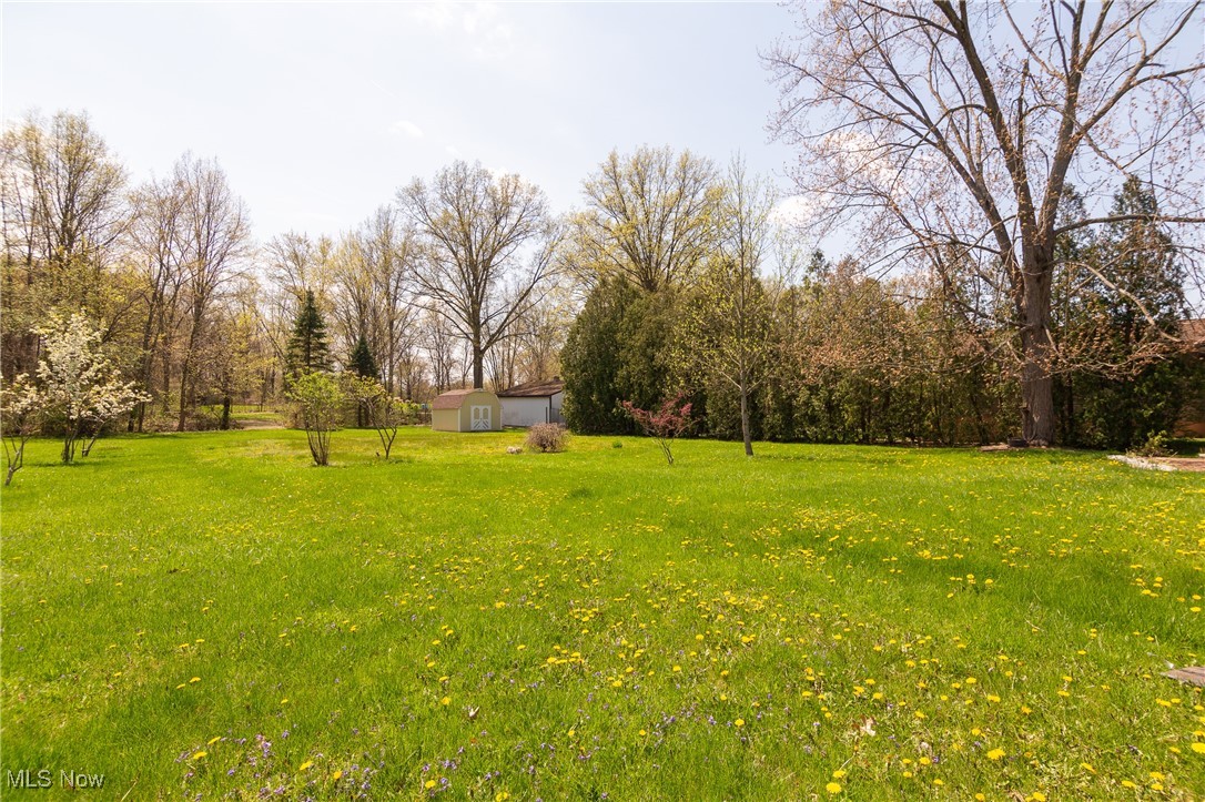 32575 Bagley Road North Ridgeville, OH 44039 - Photo 5 of 30 View of yard