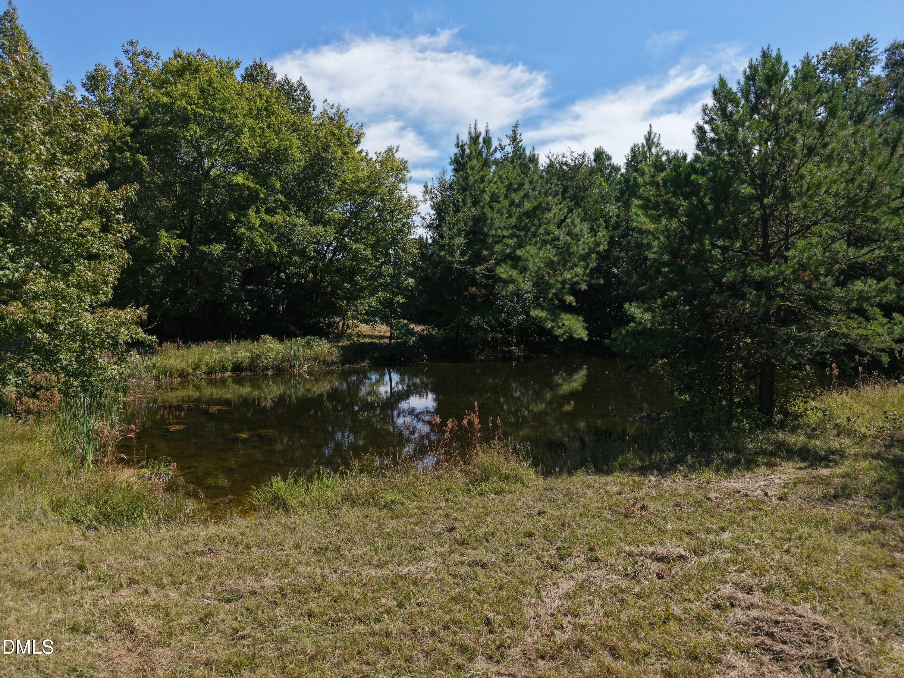 5021 Clayton Road Rougemont, NC 27572 - Photo 14 of 19 DJI_20250913134057_0072_D