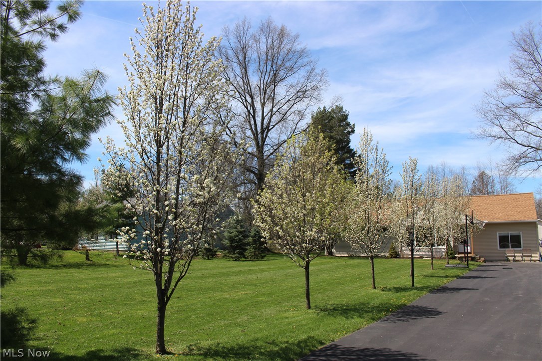 10702 Chillicothe Road Kirtland, OH 44094 - Photo 25 of 25 Tree lined driveway to your new home!