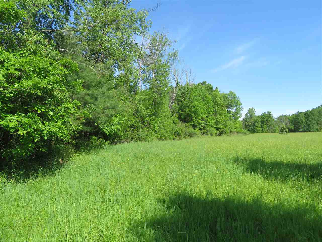 0 Howell Road Otter Lake, MI 48464 - Photo 6 of 9