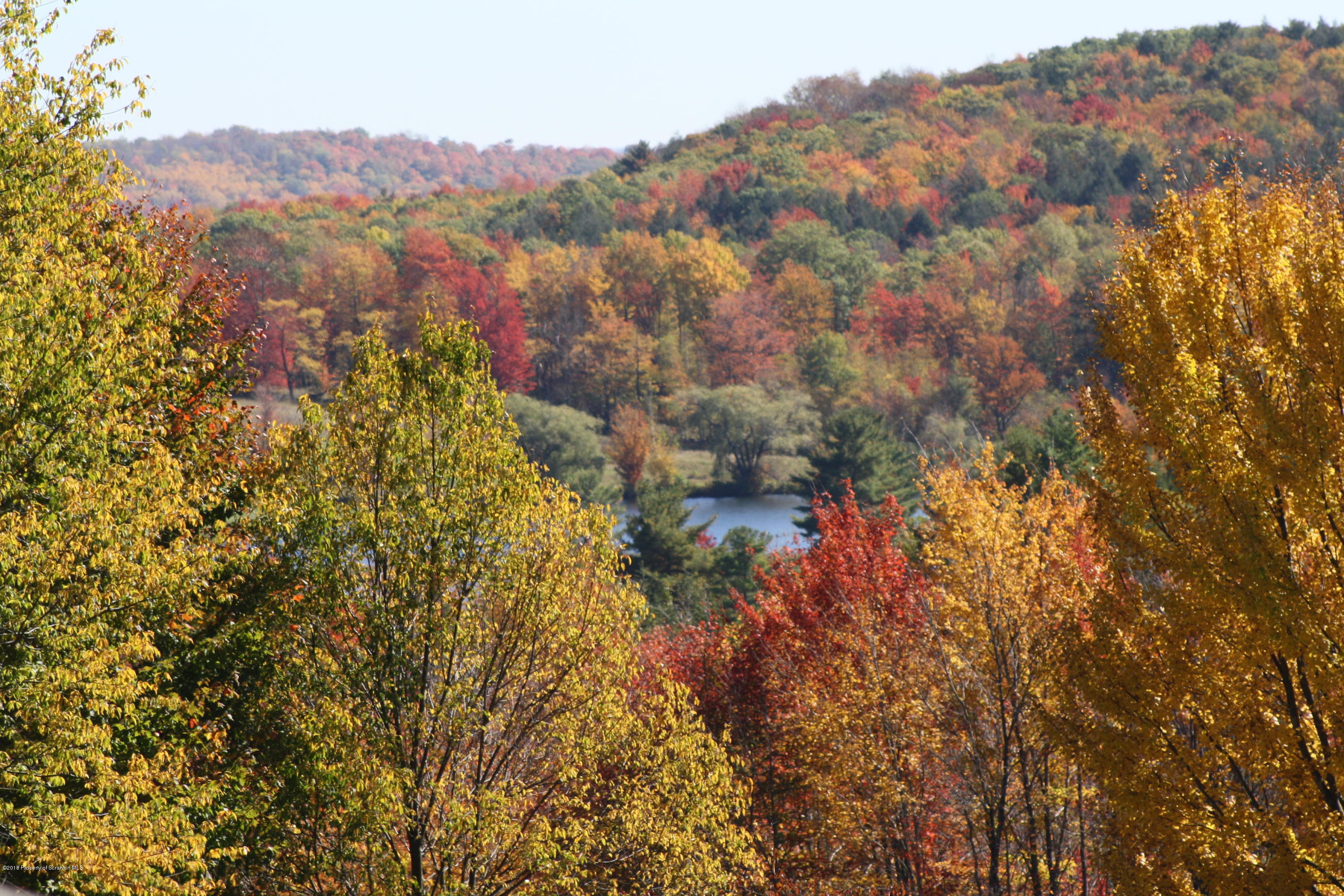 1412 Mt Cobb Road Lake Ariel, PA 18436 - Photo 50 of 50 Gallery Image 50