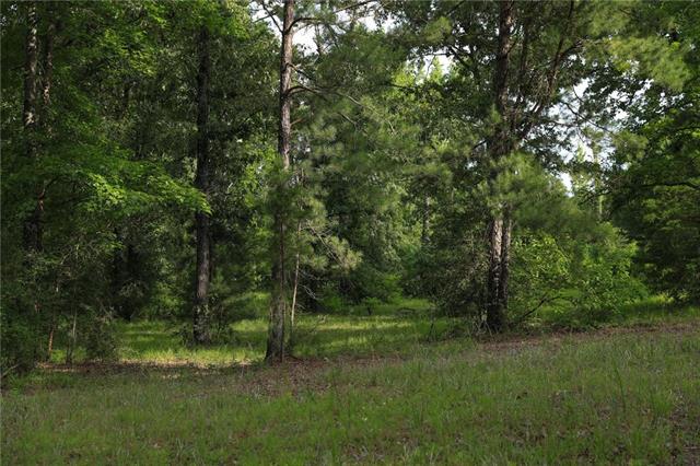 653 Ebenezer Cemetery Road Leesville, LA 71446 - Photo 23 of 30
