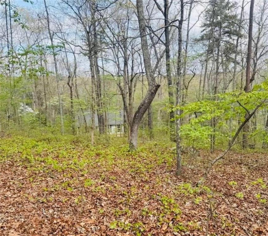 48 Spring Ridge Road Northwest Kingston, GA 30145 - Photo 18 of 19