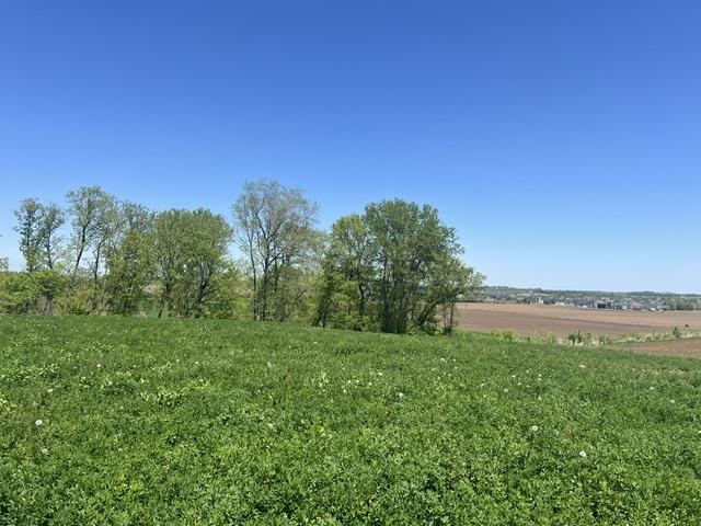 L4 Ervins Waunakee, WI 53597 - Photo 2 of 10